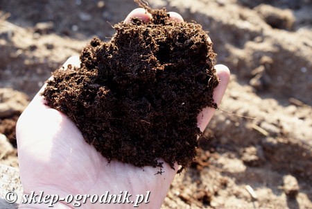 przygotowanie gleby pod warzywnik