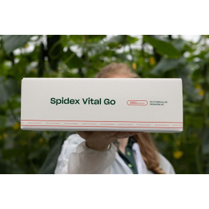 SPIDEX Vital Go opakowanie 250 saszetek