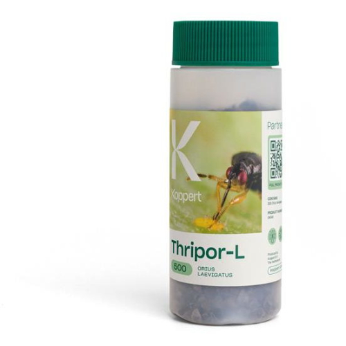 THRIPOR-L 500 opakowanie