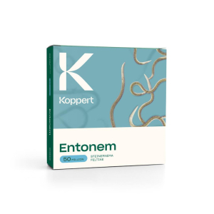 ENTONEM