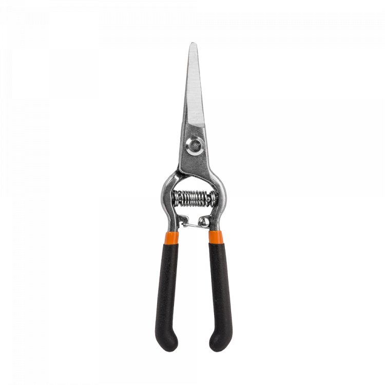 sekator Bradas KT-RG1007 wygląd