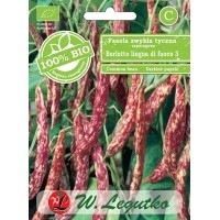 BIO FASOLA SZPARAGOWA tyczna czerwona BORLOTTO LINGUA DI FUOCO 3 (30g) - Nasiona ekologiczne 100% BIO - W. LEGUTKO