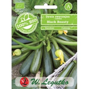 BIO CUKINIA BLACK BEAUTY opakowanie przód