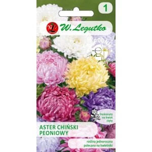 Aster Peoniowy mieszanka