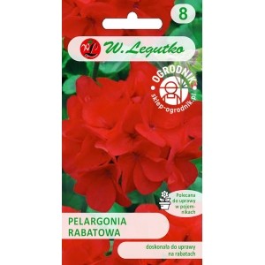 PELARGONIA RABATOWA CZERWONA
