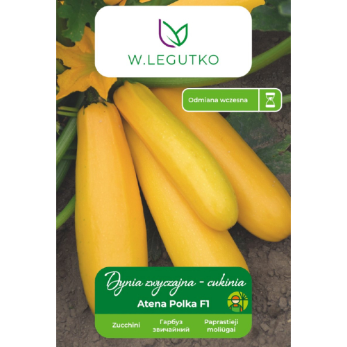 Cukinia Atena Polka