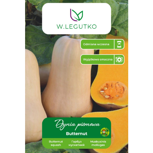 DYNIA PIŻMOWA BUTTERNUT (2g) - W. Legutko