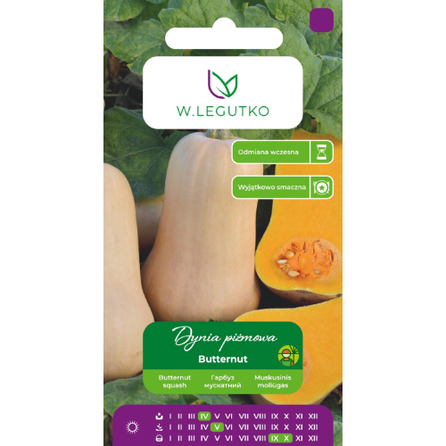 DYNIA PIŻMOWA BUTTERNUT (2g) - W. Legutko