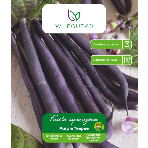 FASOLA PURPLE TEEPEE