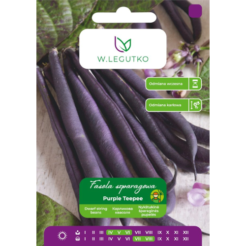 FASOLA PURPLE TEEPEE