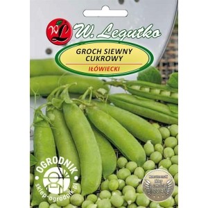 Groch Iłówiecki