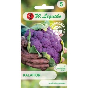Kalafior fioloetowy Di Sicilia violetto 1g opakowanie przód