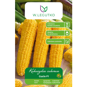 KUKURYDZA cukrowa GUCIO F1 (10g) wczesna - W. Legutko