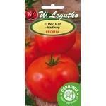 Pomidor karłowy Promyk