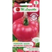 Pomidor Malinowy Olbrzym