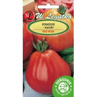Pomidor Red Pear czerwona gruszka