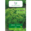 SAŁATA liściowa LOLLO BIONDA (1g) - W. Legutko