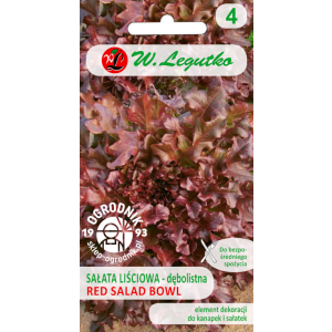 SAŁATA LIŚCIOWA dębolistna RED SALAD BOWL