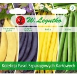 KOLEKCJA FASOL szparagowych KARŁOWYCH - 4 odmiany 4 x 10g - Kolekcje nasion - W. Legutko