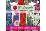 KOLEKCJA ROŚLIN MIODODAJNYCH - 5 odmian 1,9g - Kolekcje nasion - W. Legutko