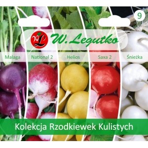 KOLEKCJA RZODKIEWEK KULISTYCH - 5 odmian 5 x 1g - Kolekcje nasion - W. Legutko
