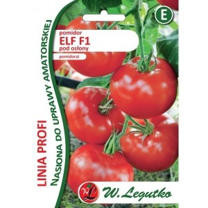 Pomidor Elf F1
