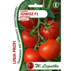 Pomidor Jowisz F1