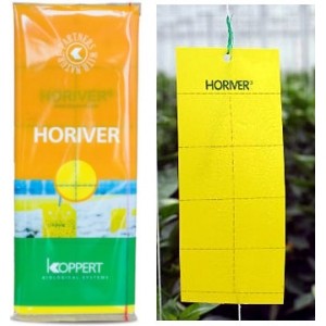 Żółte tablice lepowe 25x10cm - Profesjonalne Horiver Yellow